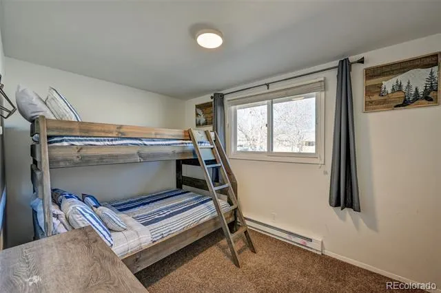 116 Dartmouth Drive Buena Vista, CO 81211