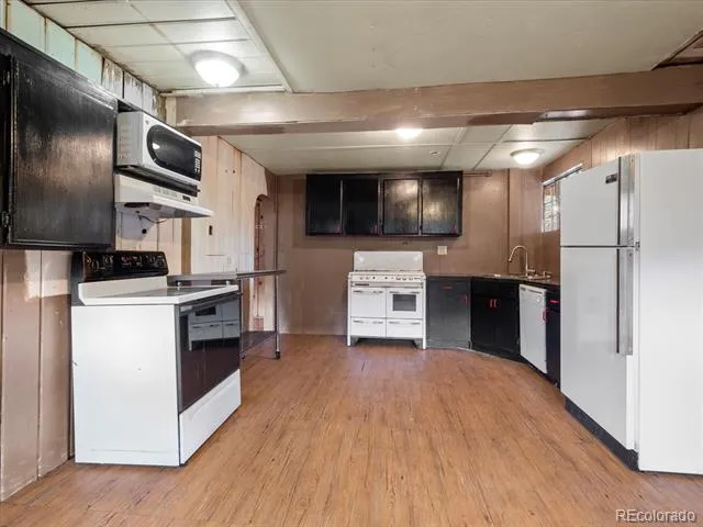 43070 County Road 397 Granite, CO 81228