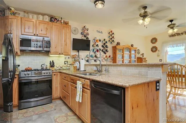 123 Halley's Avenue #C Poncha Springs, CO 81242