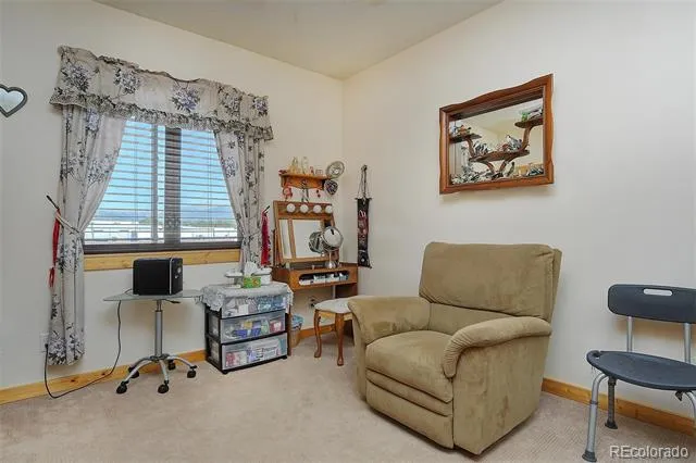 123 Halley's Avenue #C Poncha Springs, CO 81242