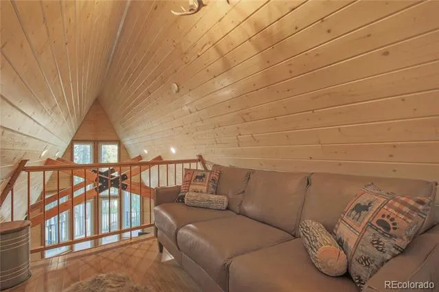 46 Apache Road Evergreen, CO 80439