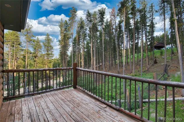 46 Apache Road Evergreen, CO 80439