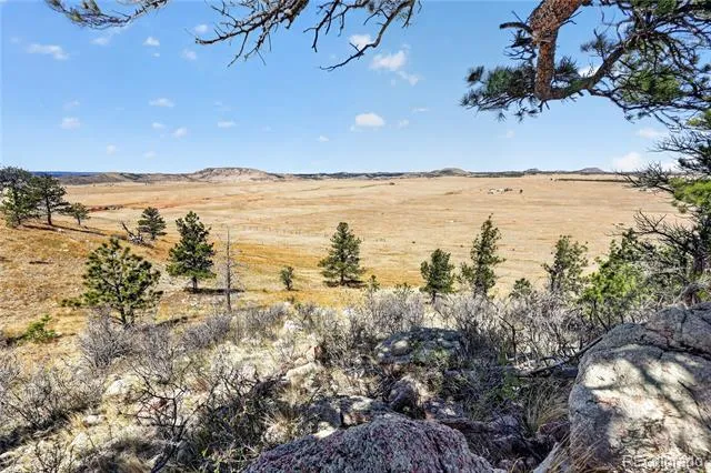 1209 Linecamp Drive Livermore, CO 80536
