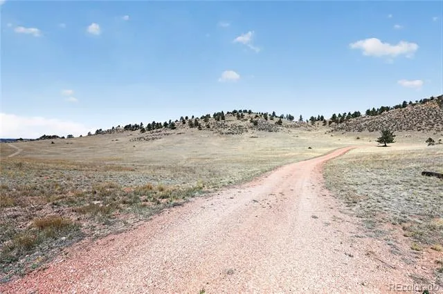 1209 Linecamp Drive Livermore, CO 80536