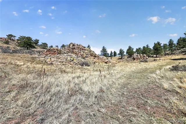 1209 Linecamp Drive Livermore, CO 80536