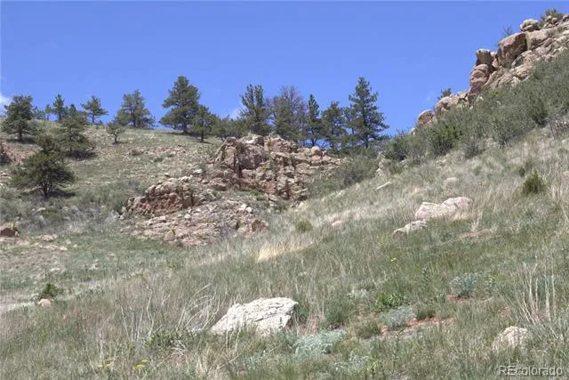 1209 Linecamp Drive Livermore, CO 80536