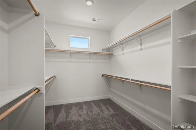 1109 White Clover Drive Monument, CO 80132