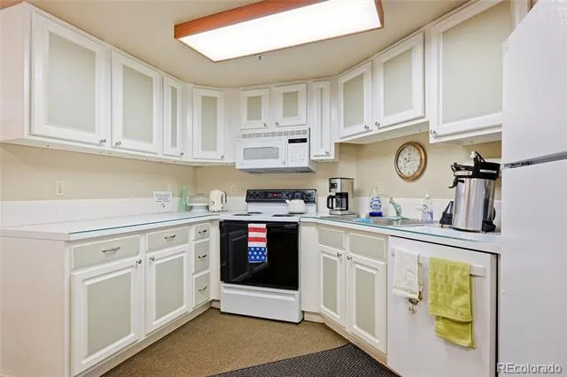 31719 Rocky Village Drive #321 Evergreen, CO 80439