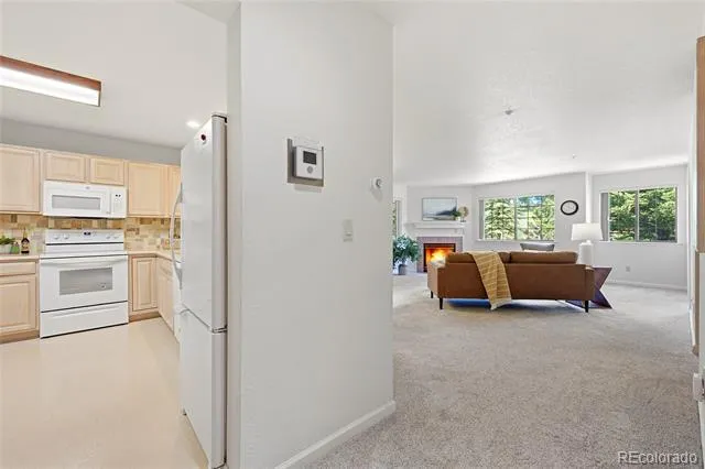 31719 Rocky Village Drive #321 Evergreen, CO 80439