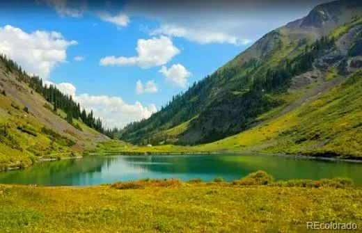 111 FS Road 752.3B Gunnison, CO 81231