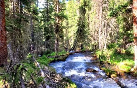111 FS Road 752.3B Gunnison, CO 81231