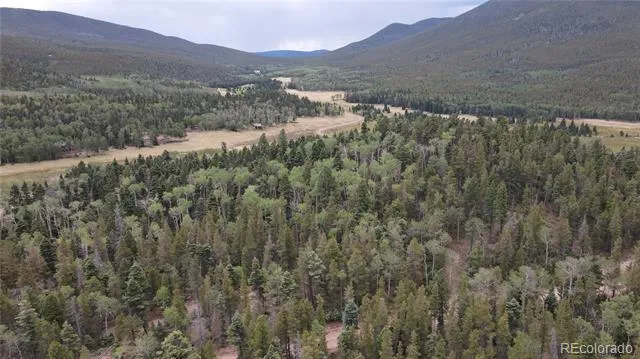 2874 Fery Loop Fort Garland, CO 81133