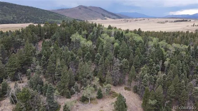 2874 Fery Loop Fort Garland, CO 81133