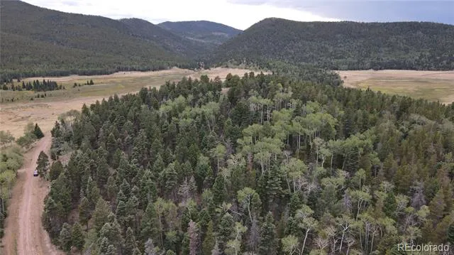 2874 Fery Loop Fort Garland, CO 81133