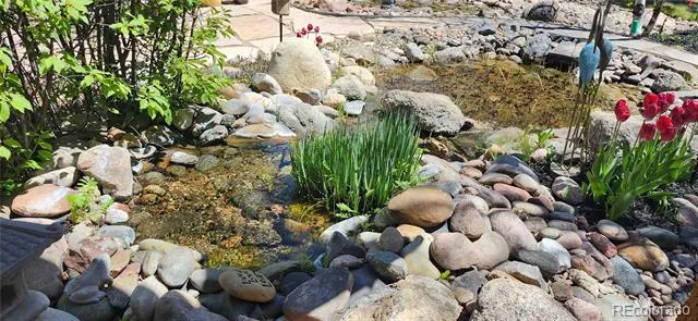 19670 Blue Clover Lane Monument, CO 80132