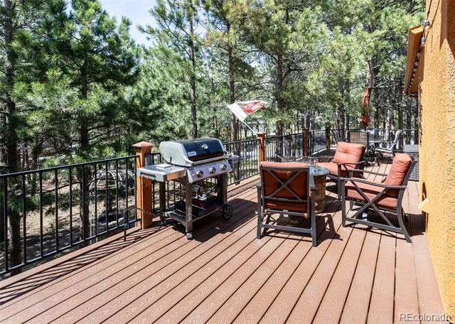 19670 Blue Clover Lane Monument, CO 80132