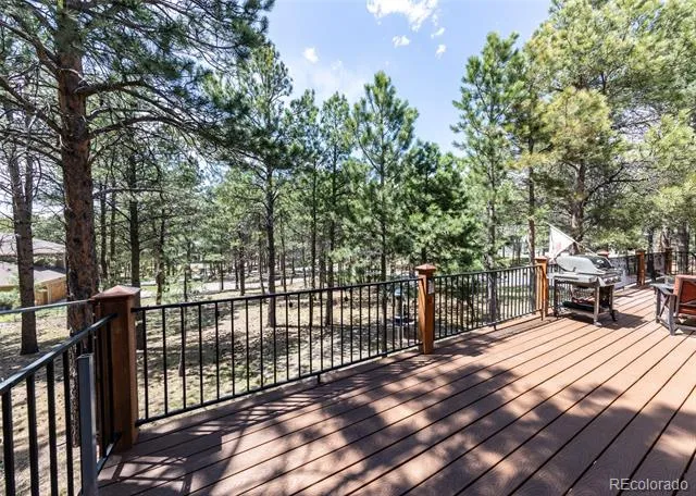 19670 Blue Clover Lane Monument, CO 80132
