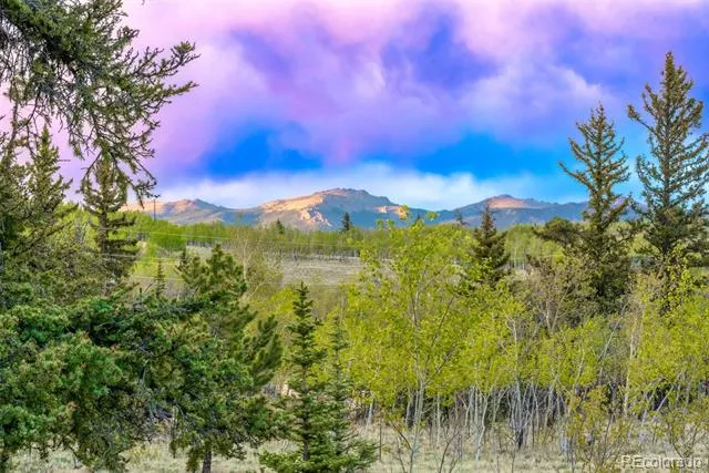847 Palomino Road Jefferson, CO 80456