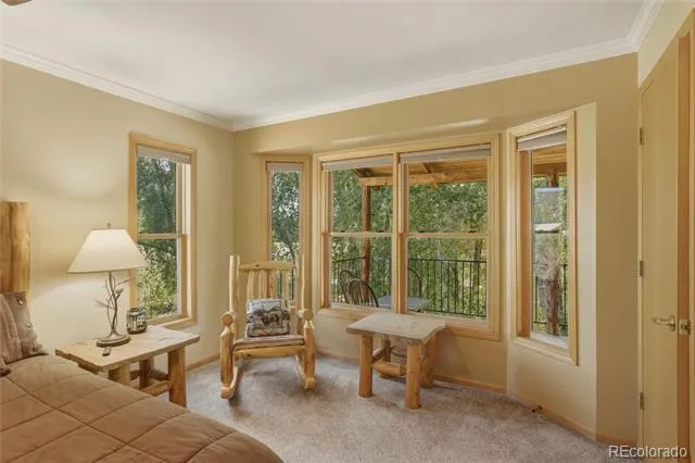 199 Rio Grande Drive South Fork, CO 81154