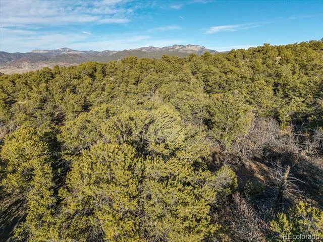 5450 Longbranch Road Salida, CO 81201