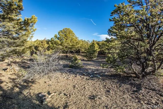 5450 Longbranch Road Salida, CO 81201