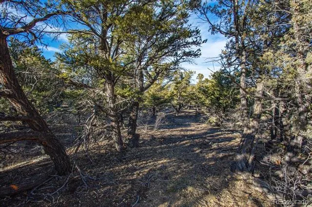 5450 Longbranch Road Salida, CO 81201