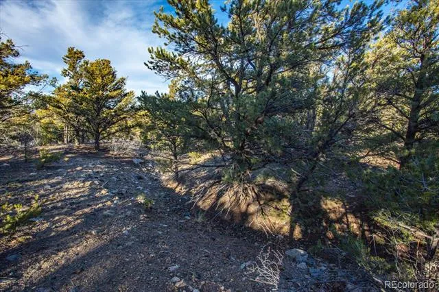 5450 Longbranch Road Salida, CO 81201