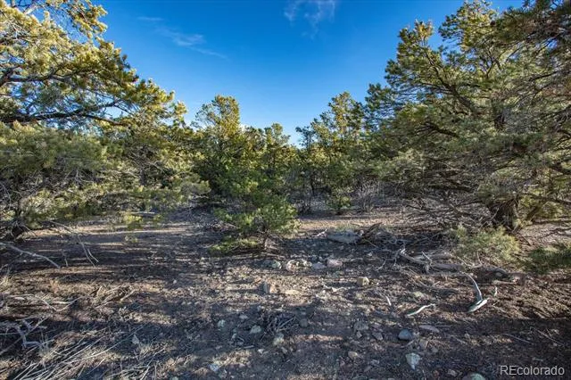 5450 Longbranch Road Salida, CO 81201