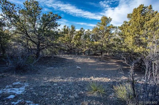 5450 Longbranch Road Salida, CO 81201