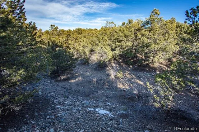 5450 Longbranch Road Salida, CO 81201