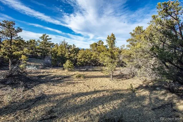 5450 Longbranch Road Salida, CO 81201