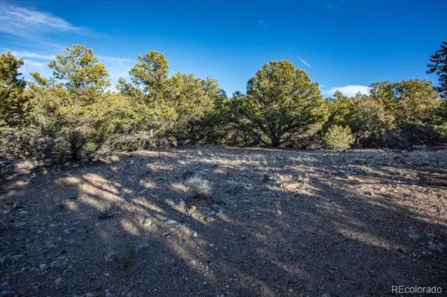 5450 Longbranch Road Salida, CO 81201