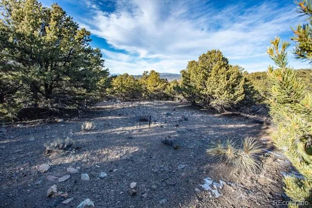 5450 Longbranch Road Salida, CO 81201