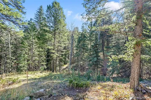 28176 Alabraska Lane Evergreen, CO 80439