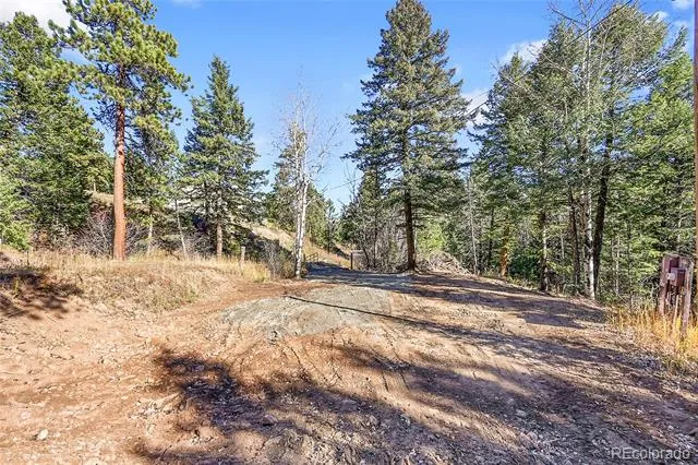 28176 Alabraska Lane Evergreen, CO 80439