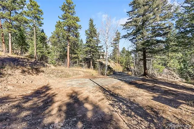 28176 Alabraska Lane Evergreen, CO 80439