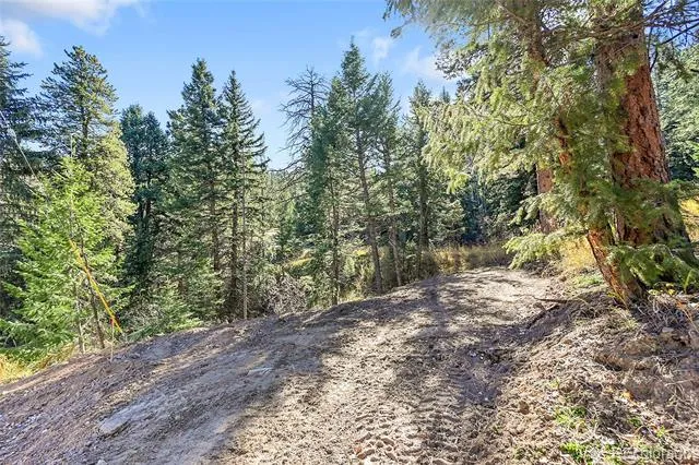 28176 Alabraska Lane Evergreen, CO 80439
