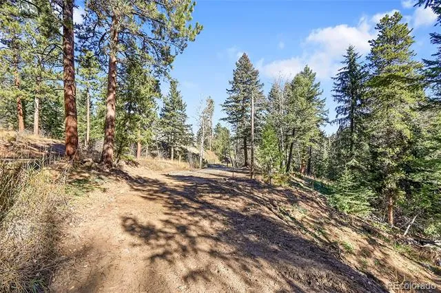 28176 Alabraska Lane Evergreen, CO 80439