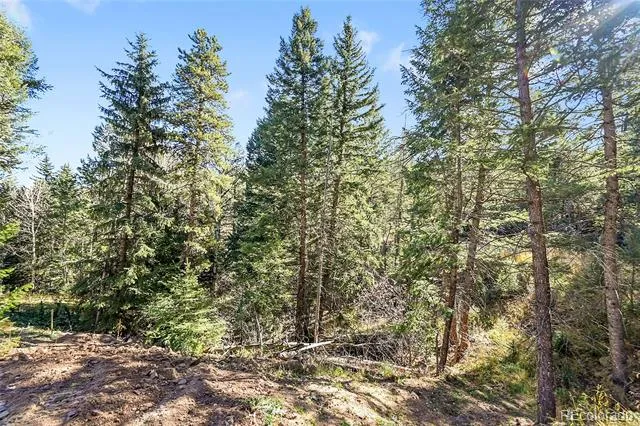 28176 Alabraska Lane Evergreen, CO 80439