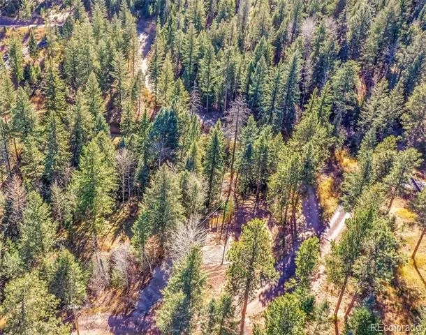 28176 Alabraska Lane Evergreen, CO 80439