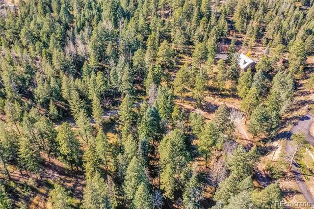 28176 Alabraska Lane Evergreen, CO 80439