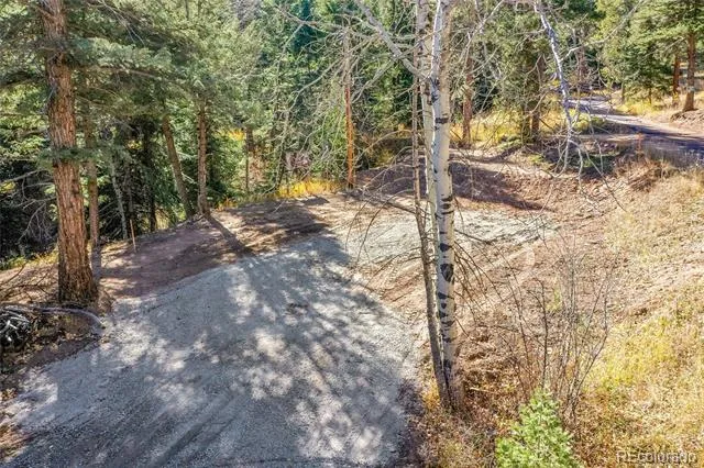 28176 Alabraska Lane Evergreen, CO 80439