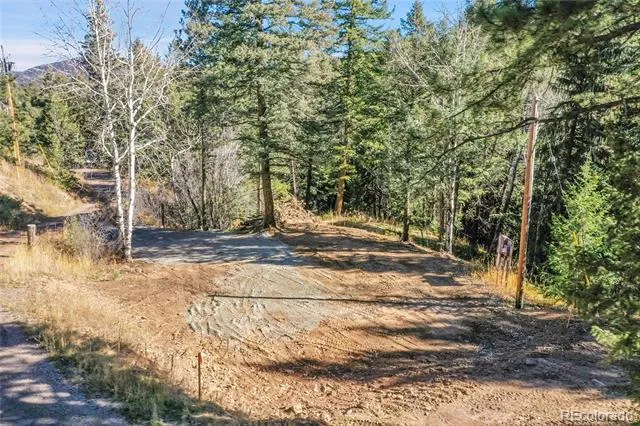 28176 Alabraska Lane Evergreen, CO 80439