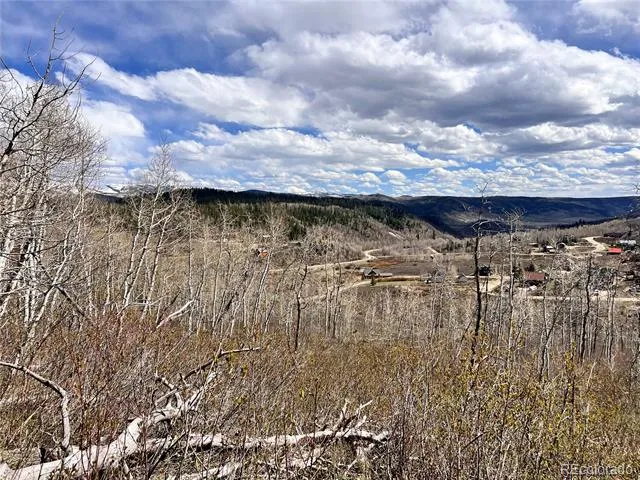 57960 Longfellow Way Clark, CO 80428