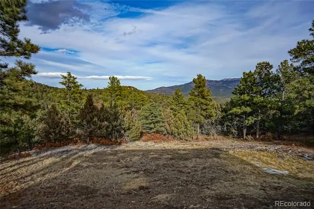 33280 Turkey Creek Lane Trinidad, CO 81082