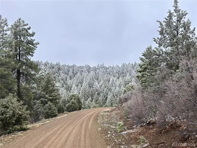 33280 Turkey Creek Lane Trinidad, CO 81082