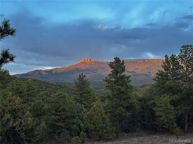 33280 Turkey Creek Lane Trinidad, CO 81082