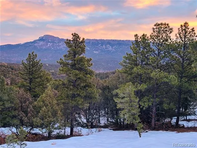 33280 Turkey Creek Lane Trinidad, CO 81082