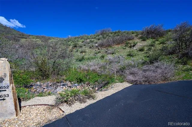 16653 Golden Rod Lane Morrison, CO 80465
