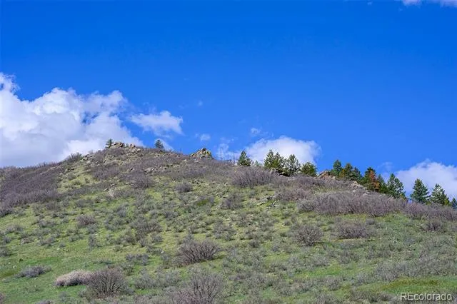 16653 Golden Rod Lane Morrison, CO 80465
